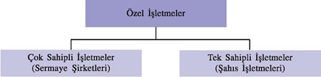 Özel İşletmeler
