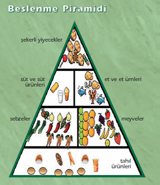 Beslenme Piramiti