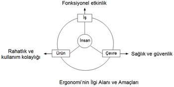 Ddf Ergonomi Ilgi Alanlari