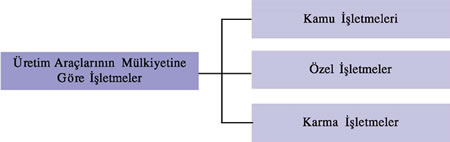 Mülkiyetine Göre İşletmeler
