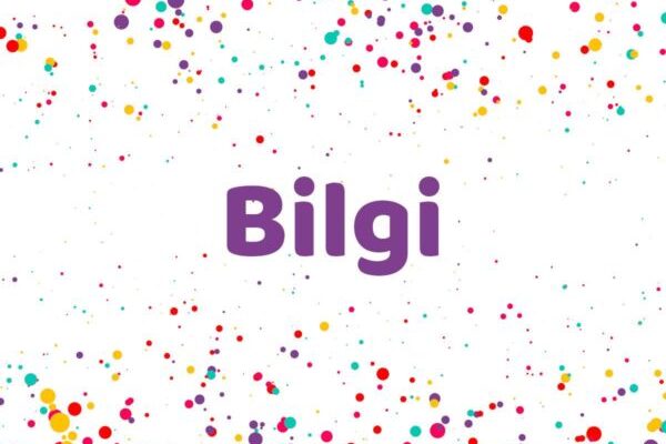 Bilgi