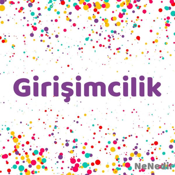 Girisimcilik