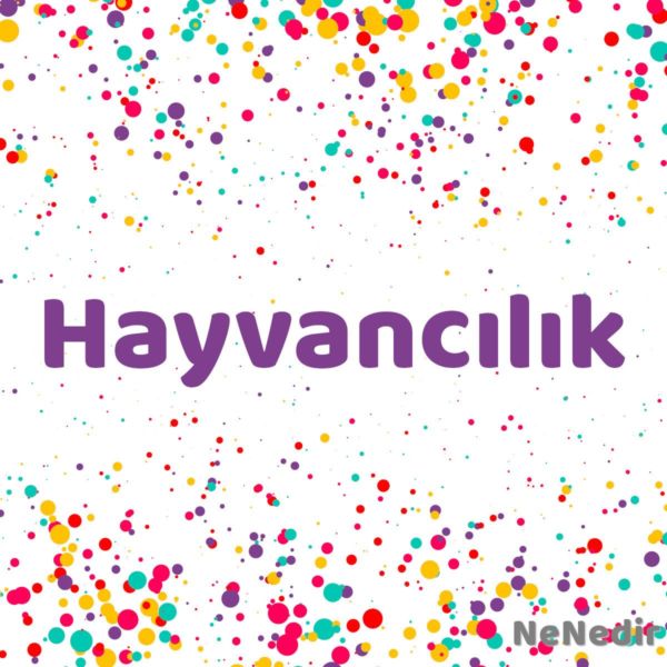 Hayvancilik