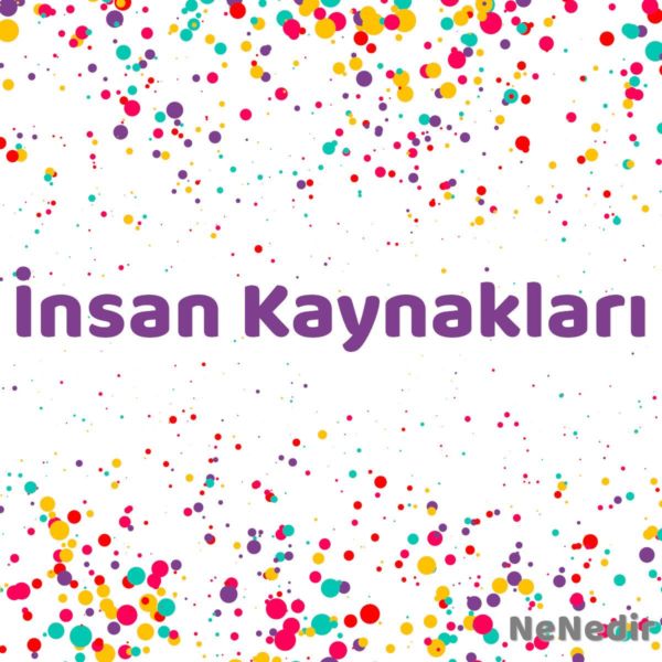 Insan Kaynaklari