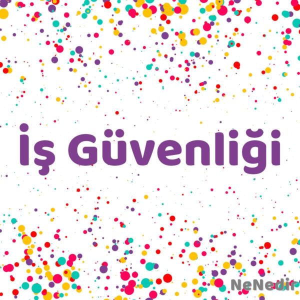 Is Guvenligi