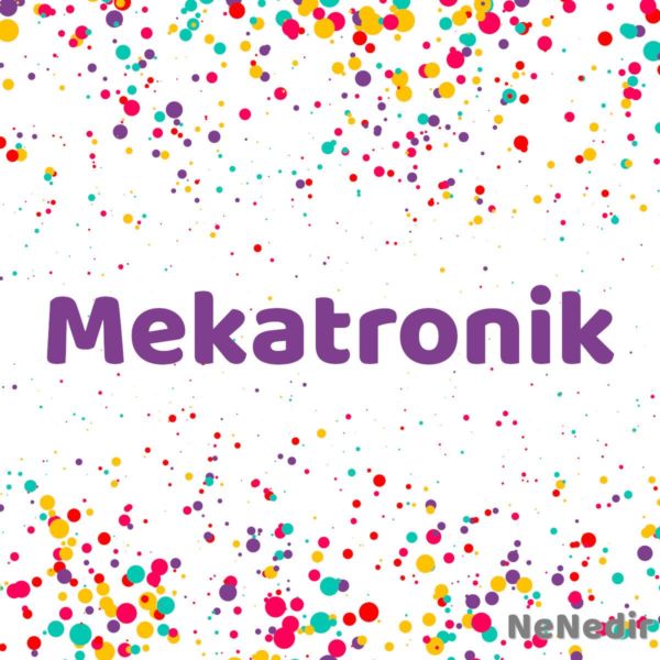 Mekatronik