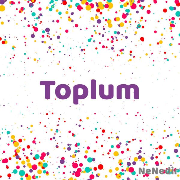 Toplum